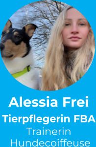 Alessia Frei Tierpflegerin FBA Trainerin  Hundecoiffeuse